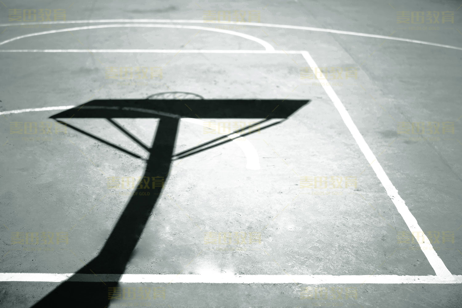 专科被不喜欢的专业录取怎么办,高考报到不喜欢的专业怎么办