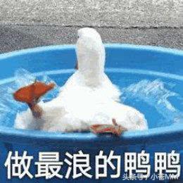 亚运会只需要记住两个男人：一个小胖子，一个眼镜理工男