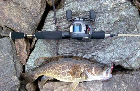 新手选路亚怎么选,新手入坑路亚到弃坑全过程