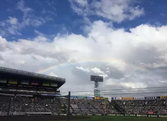 甲子园的少年,甲子园的哭泣