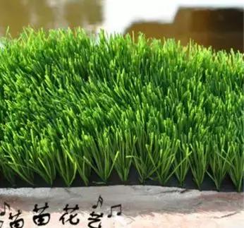 义乌小商品批发市场有哪些爆款,义乌最近最火爆商品