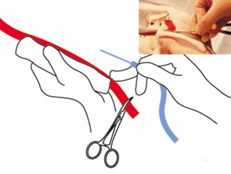 为平民百姓说公道话,为民众说句公道的话