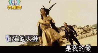 中印自卫反击战,中印边境自卫反击战