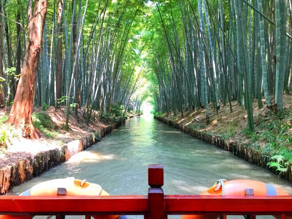 同里湿地好玩吗,同里湿地超有趣