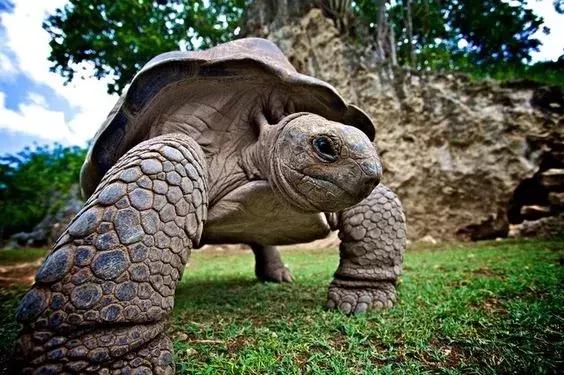 六个免签海岛颜值完爆马岱,值得去的海岛免签国家