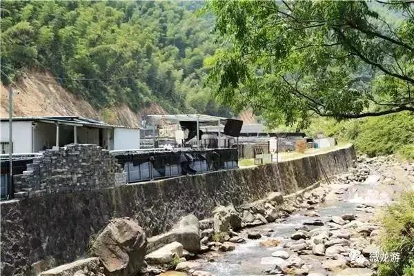 一亩养殖石斑鱼的利润是多少呢,养1万斤淡水石斑鱼盈利大概多少