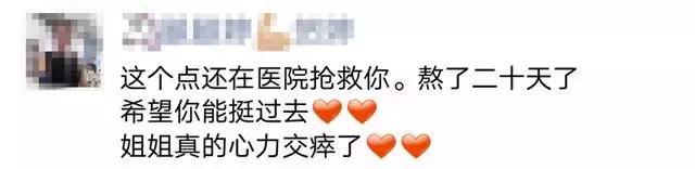 狗食物中毒肾衰竭,狗肾衰竭放弃治疗能活多久