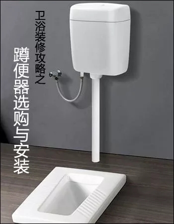 如何挑选一款好的蹲便器,这是一条有味道的评论