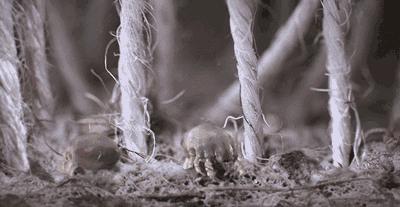 洗衣机长期不清洗比马桶还脏,洗衣机不清洗比家里面的马桶还脏