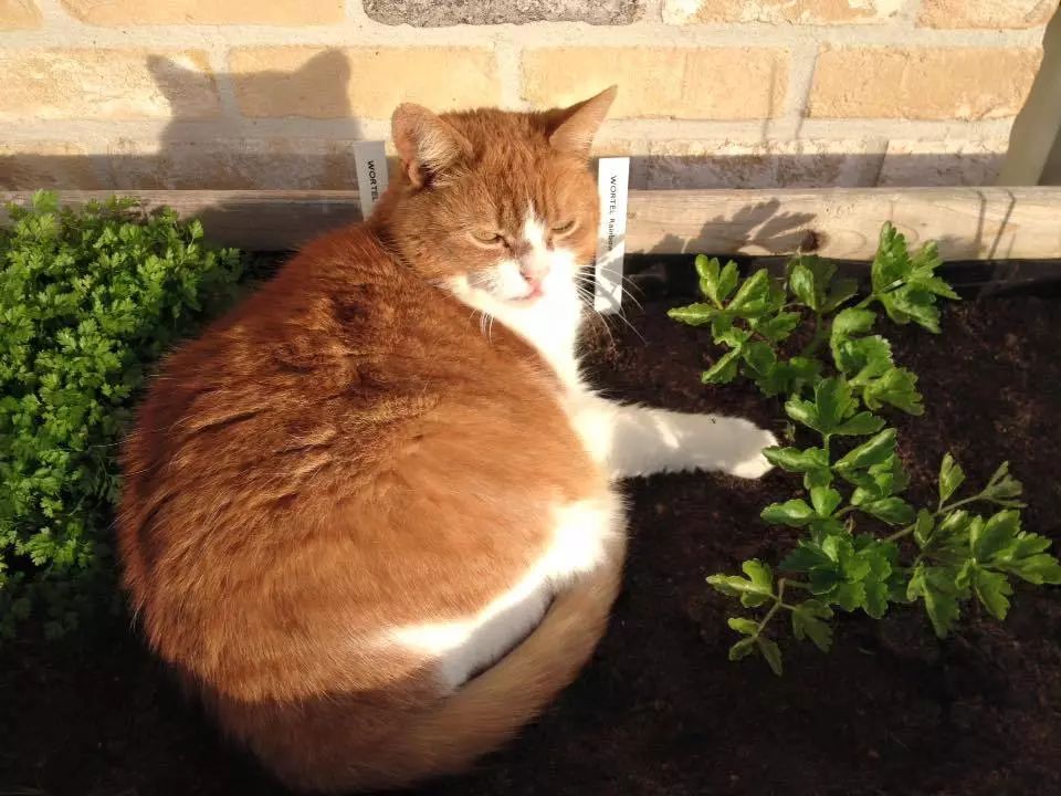 千森杯国际越野赛,千森杯越野比赛视频