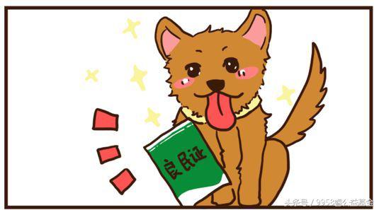 睿趣百科｜如何鉴别被猫狗咬伤后是否患上狂犬病