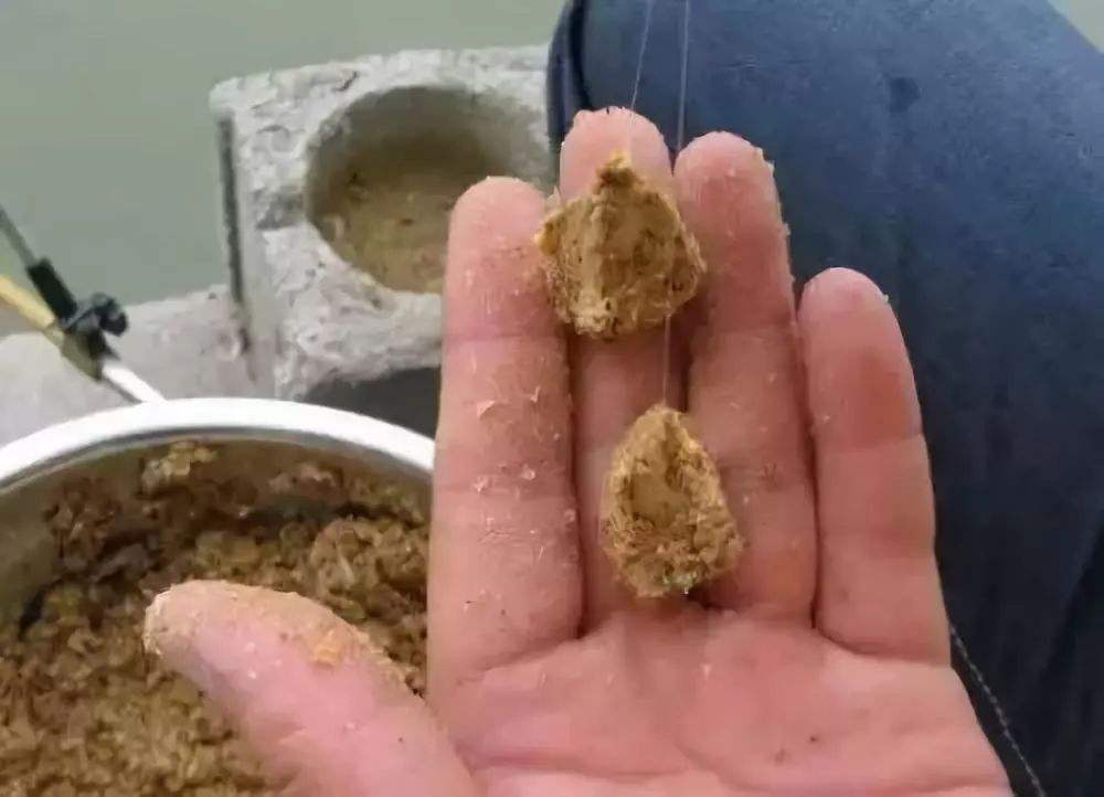 鱼不开口如何应对,鱼不开口如何应对用什么小药