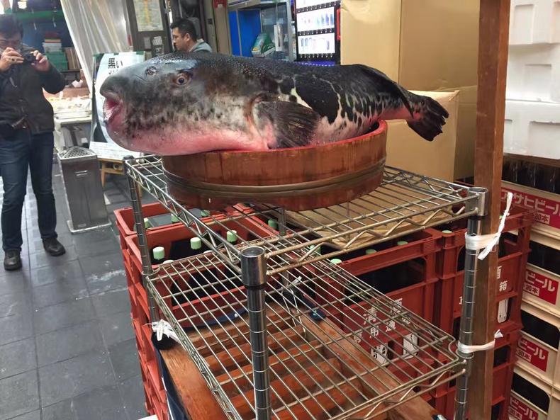 日本关西十大自由行,日本关西旅游攻略