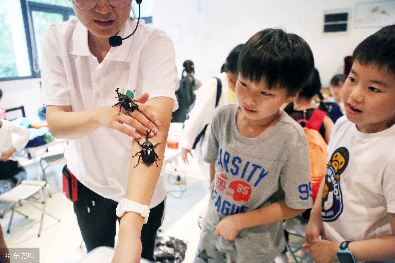 长着一个角的怪物叫什么,长着两个角的怪物