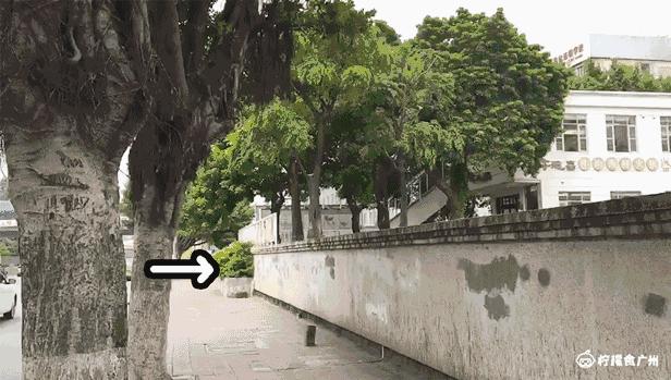 价值20w的金枪鱼,价值2k的蓝鳍金枪鱼