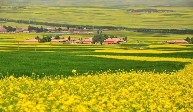 张掖是现在的什么城市,张掖一座被严重低估的城市