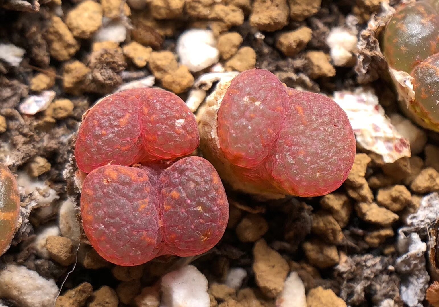 慢生活阅读视频,慢生活阅读