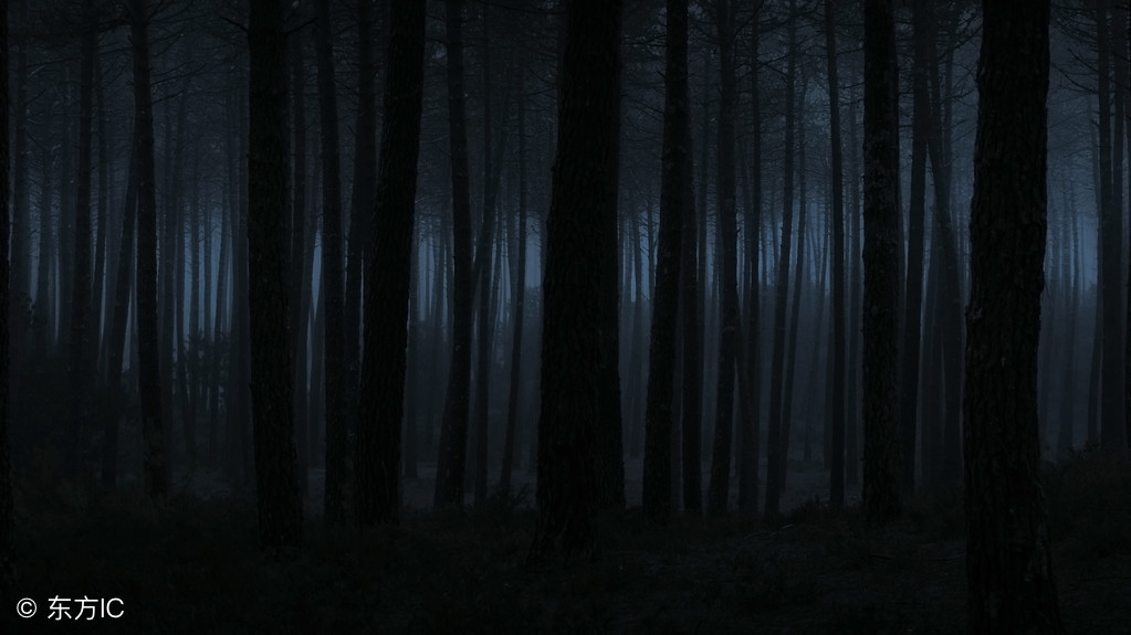 鸿哥小铺深度解析,鸿哥揭秘现实中的灵异恐怖游戏