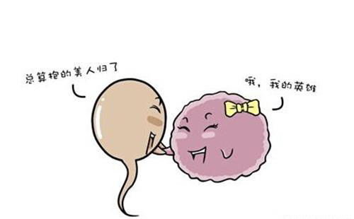 胎停育要做什么检查,孕早期胎停育备孕检查