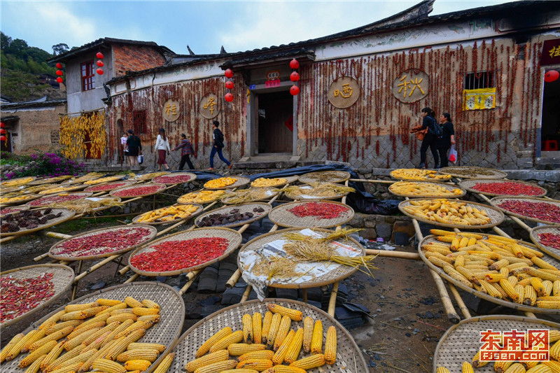 尤溪民宿住宿推荐,尤溪桂峰紫秋阁民宿