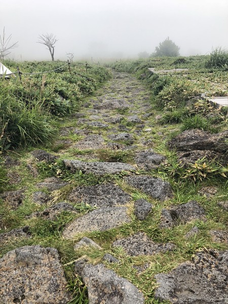 济州岛旅游遇台风,邂逅韩国电视剧国语版