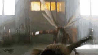 新摄影笔记观后感,新电影传奇观后感