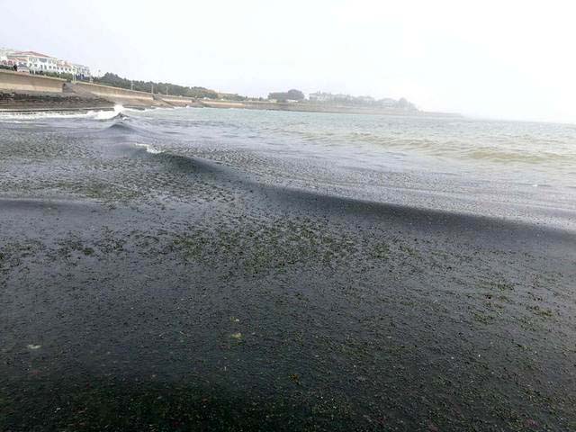 日照滨海小镇游玩攻略,日照滨海一日游