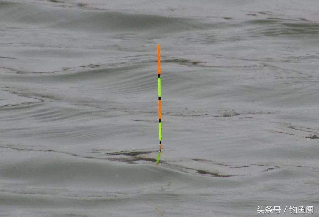 十种钓鱼看漂技巧,钓鱼看漂十大技巧教学