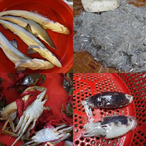 福建东山岛风动石景区视频,漳州东山县风动石景区介绍