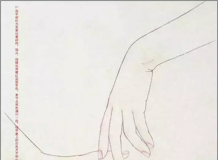 花鸟工笔白描淡彩重彩水彩,古代美女工笔淡彩白描