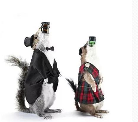 千杯不倒啤酒,世界十大烈性啤酒排名图片