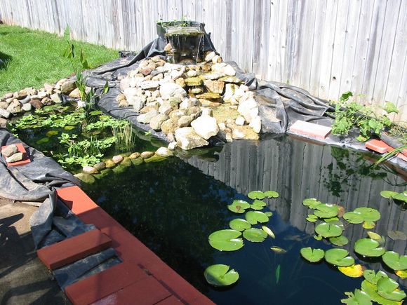 「龟龟环境篇」沼泽过滤(bogfilter):一种原生态水处理技术