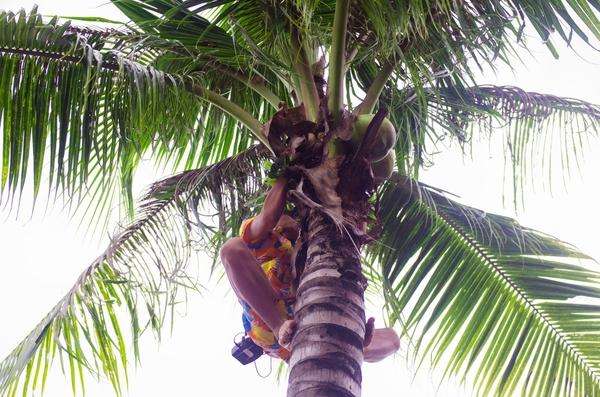 三亚千古情里面有什么,一生必看的三亚千古情