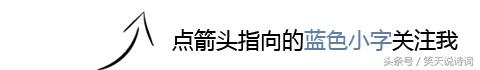 苏东坡最著名的十首诗加赏析,苏东坡十首必背诗词合集