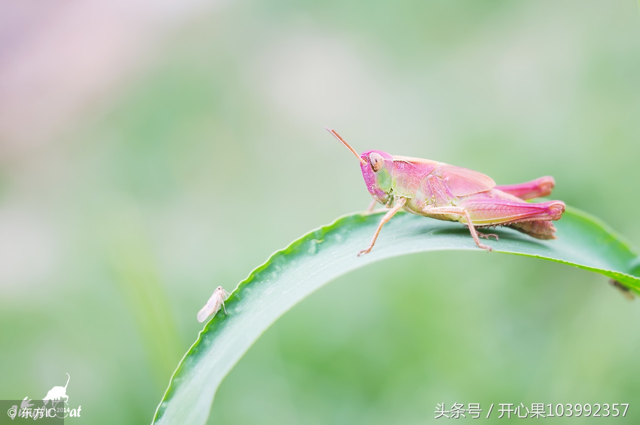 时光深处惟愿岁月静好早安语,时光深处惟愿岁月静好什么意思