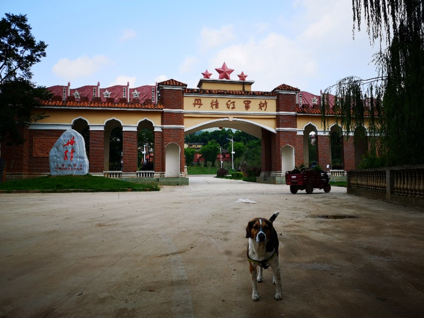 中国行广西之旅,中国行第58天