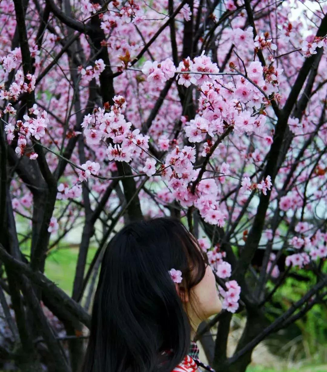 湖工款“AJ”今日正式上线！带你体验不一样的湖工时尚