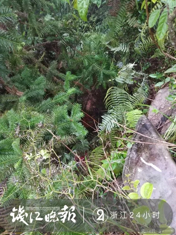 顺风车司机夺命事件,夺命顺风车司机