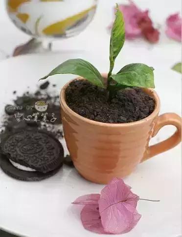 奥利奥创意吃法,最新潮的奥利奥吃法