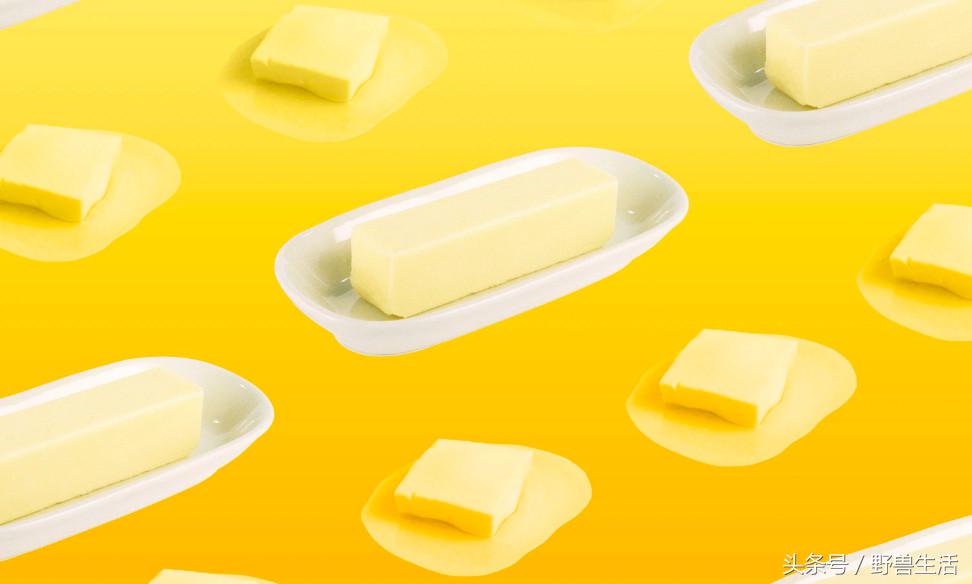 深度营养第十三章,深度营养在线阅读书评