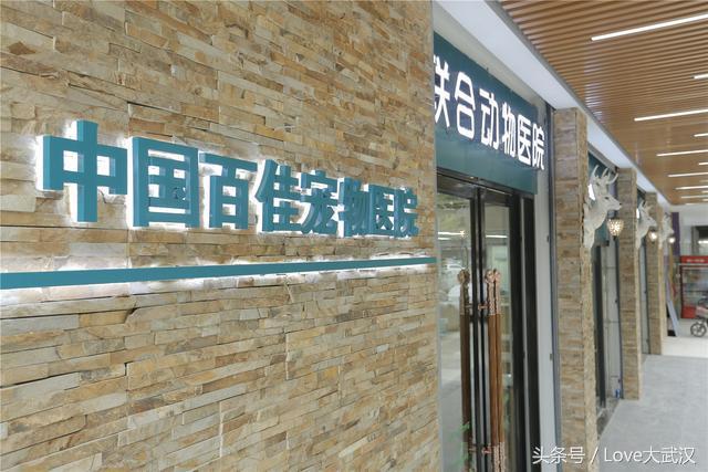 爱宠宠物医院服务中心,爱宠宠物医疗中心