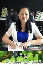 思想美,人格美,颜值美!2018“新时代最美网红”选她们!