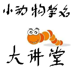 蚰蜒是什么生物,蚰蜒是什么动物
