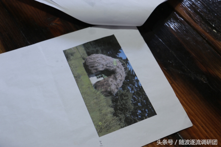 新西兰霍比特人的童话小屋,澳洲霍比特人小木屋