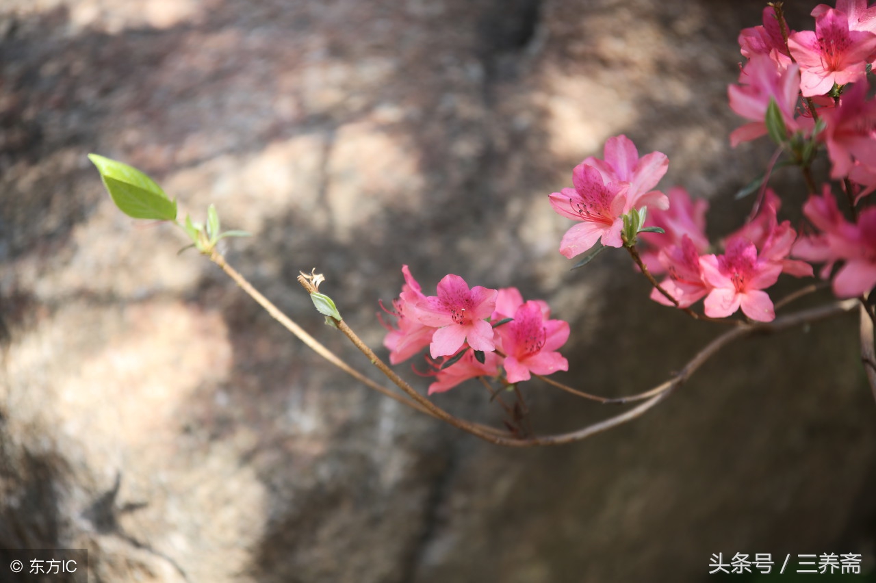 递进式结构的文章怎么写,递进式议论文结构素材