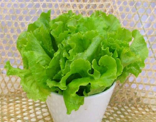 古代罕见药材,古代很罕见的奇药