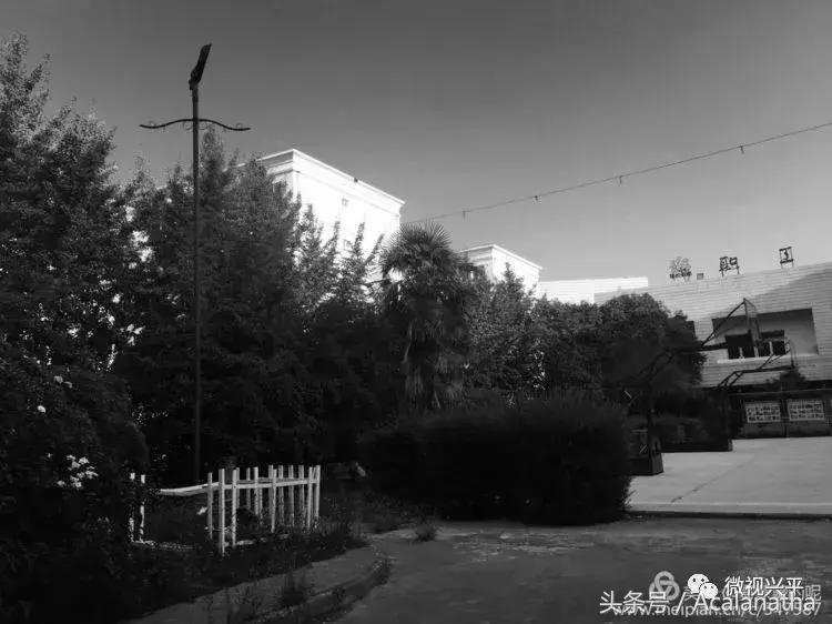 兴平：我的故乡我的云一一70后纤维厂纪事