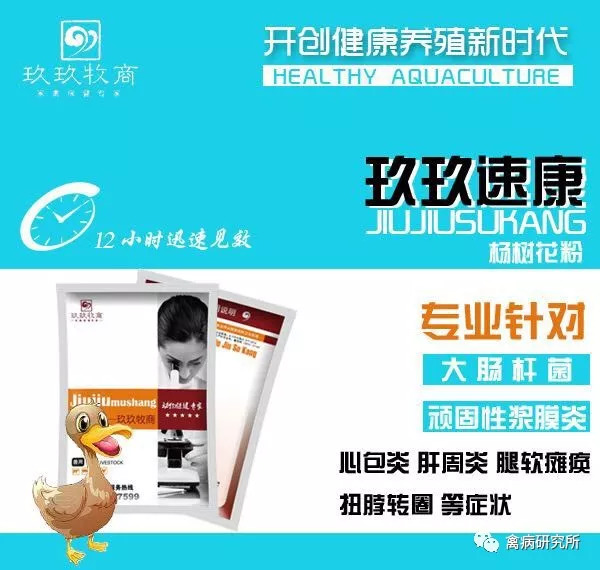 您还在为鸭鹅浆膜炎难以治愈而头疼吗？您还在为大肠杆菌反反复复而烦恼吗？经青岛农业大学跟玖玖牧商联手共同研发的高敏药物应市而生！