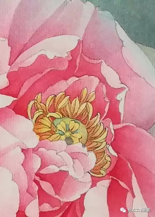 魏衍达工笔葡萄设色步骤,魏衍达工笔葡萄的画法教程