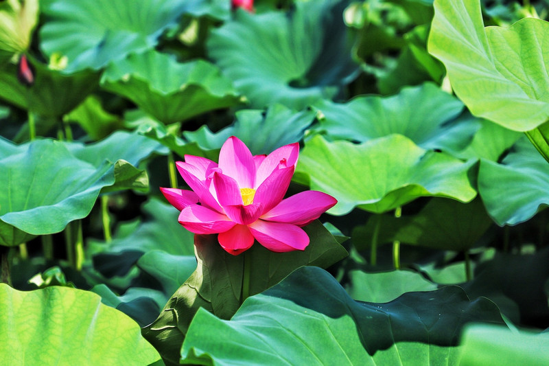 苏皖浙三省交界处,秋冬广德旅游攻略